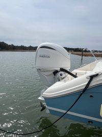 Gallery Image 11